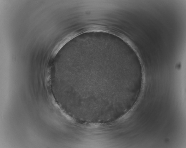 X0000113261385200909171639