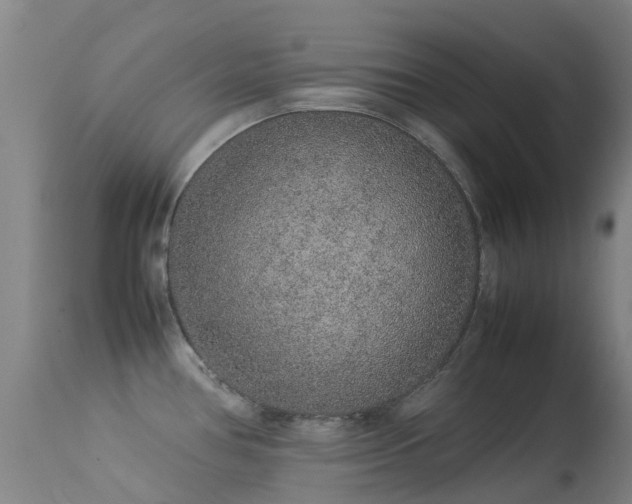 X0000113261386200909171639