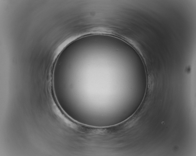 X0000113261387200909171639