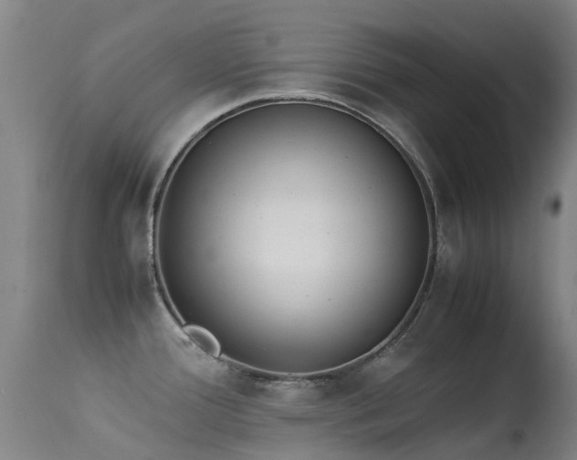 X0000113261388200909171639