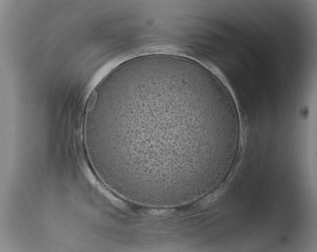 X0000113261389200909171639