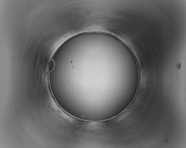 X0000113261390200909171639