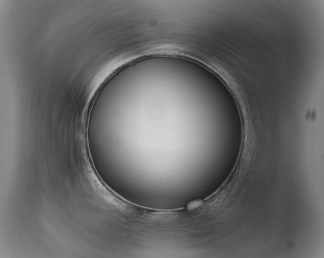 X0000113261392200909171639