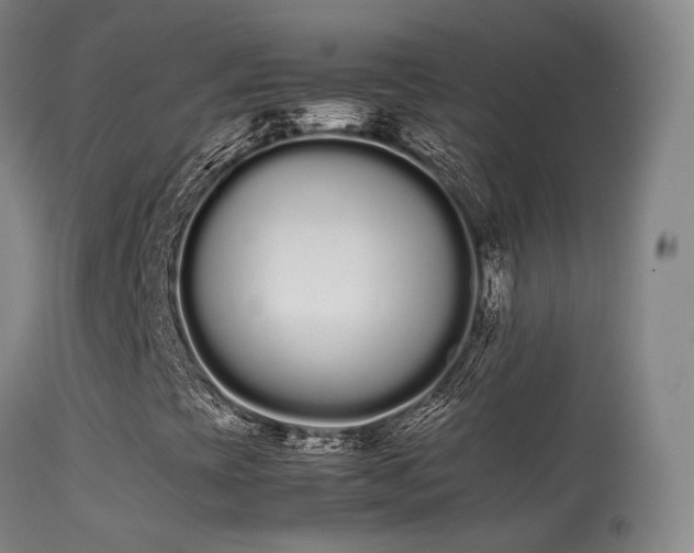 X0000113261393200909171638