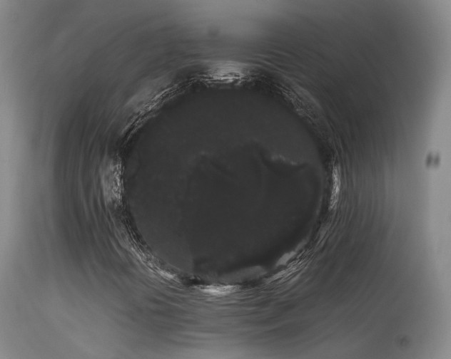 X0000113261394200909171638