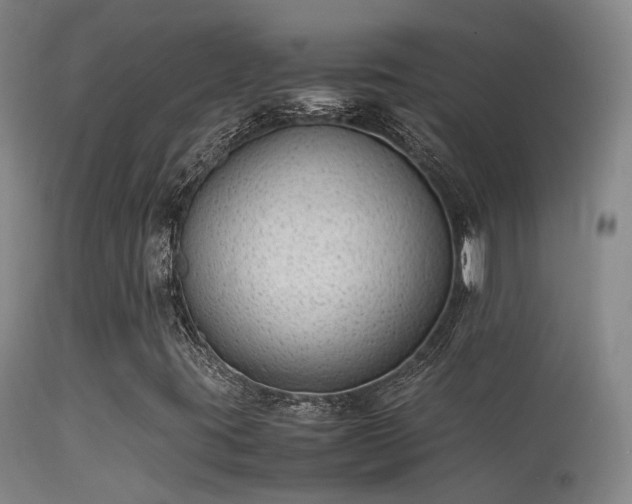 X0000113261395200909171638