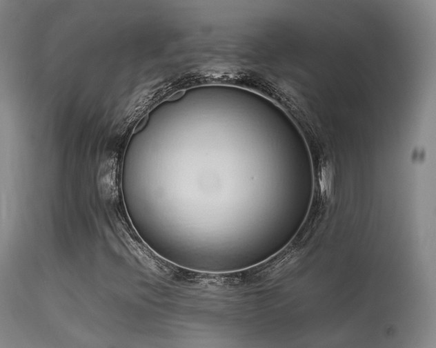 X0000113261396200909171638