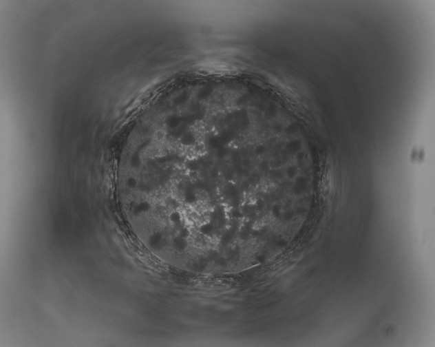 X0000113261397200909171638