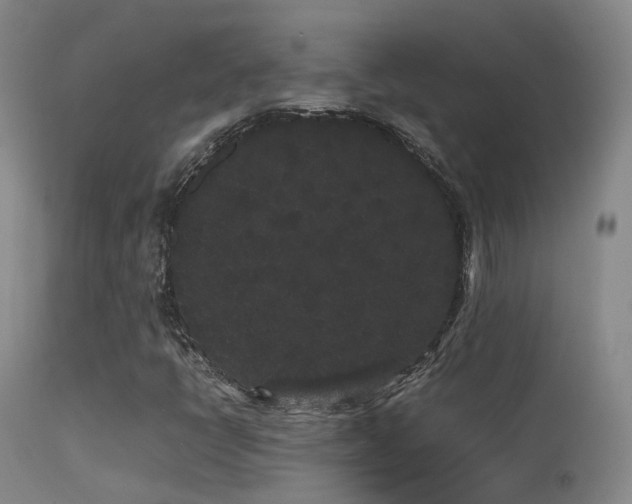 X0000113261398200909171639