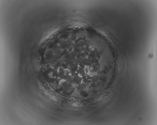 X0000113261399200909171639