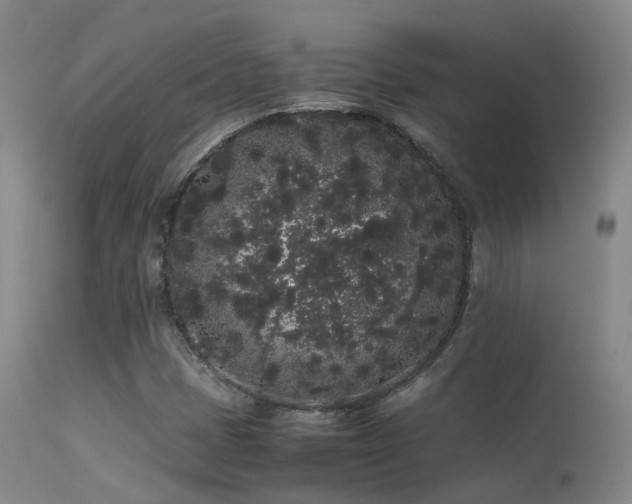 X0000113261401200909171639