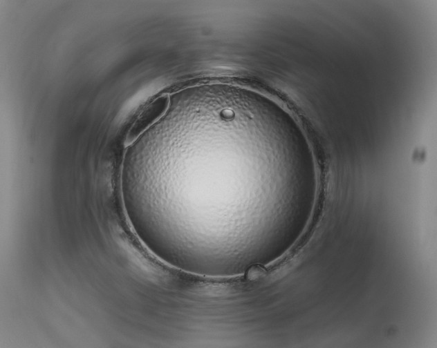 X0000113261402200909171639