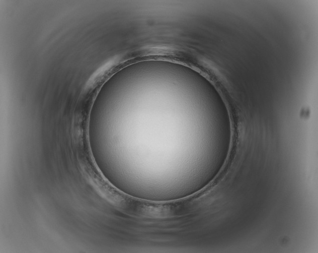 X0000113261403200909171639