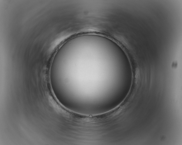 X0000113261404200909171639