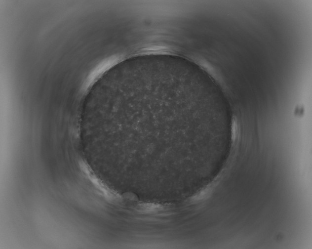 X0000113261405200909171639