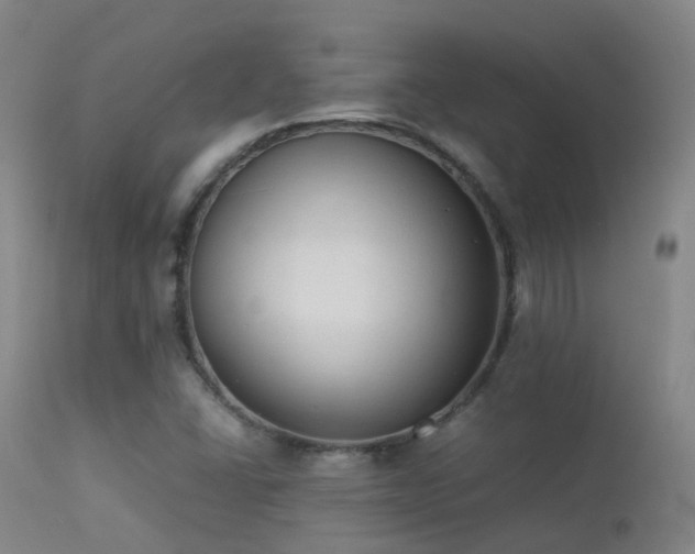 X0000113261406200909171639