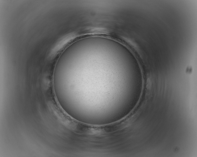 X0000113261407200909171639