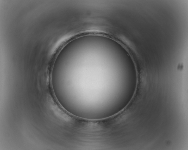 X0000113261408200909171639