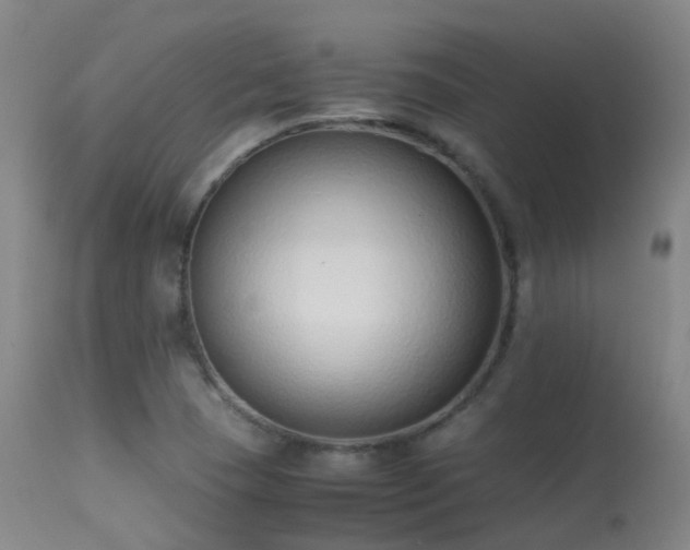 X0000113261409200909171639