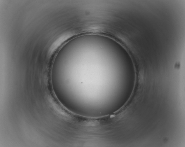 X0000113261410200909171639