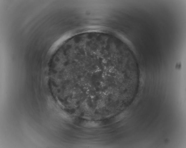 X0000113261411200909171639