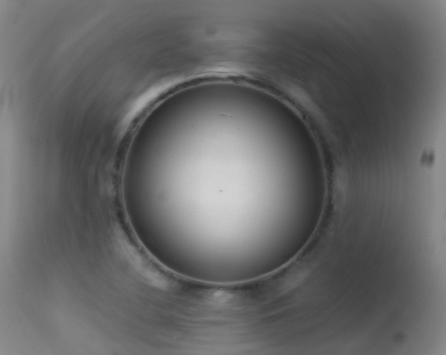 X0000113261412200909171639