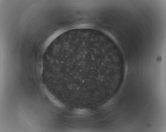 X0000113261413200909171639