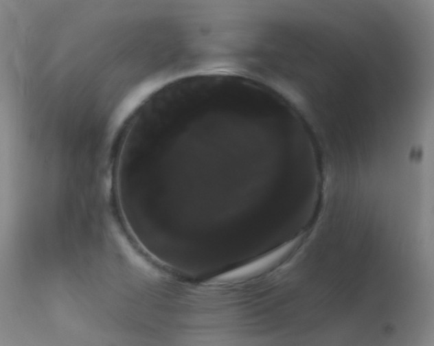 X0000113261414200909171639