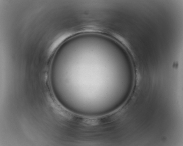 X0000113261415200909171639