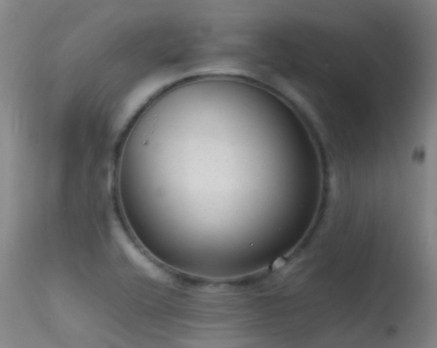 X0000113261416200909171639