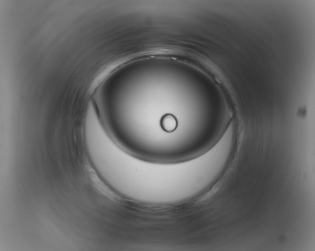 X0000113261417200909171639