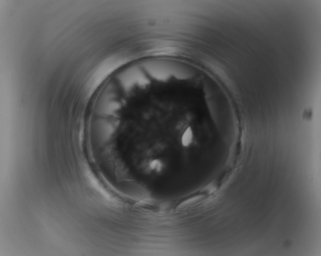 X0000113261418200909171639