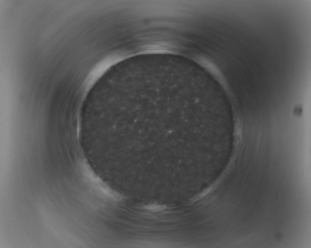 X0000113261419200909171639