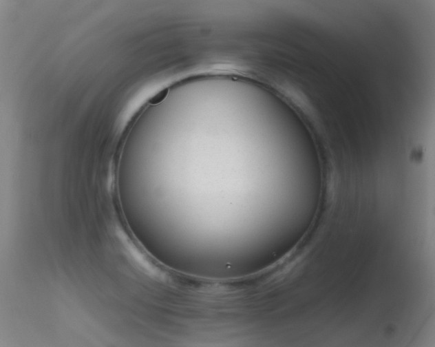 X0000113261420200909171639