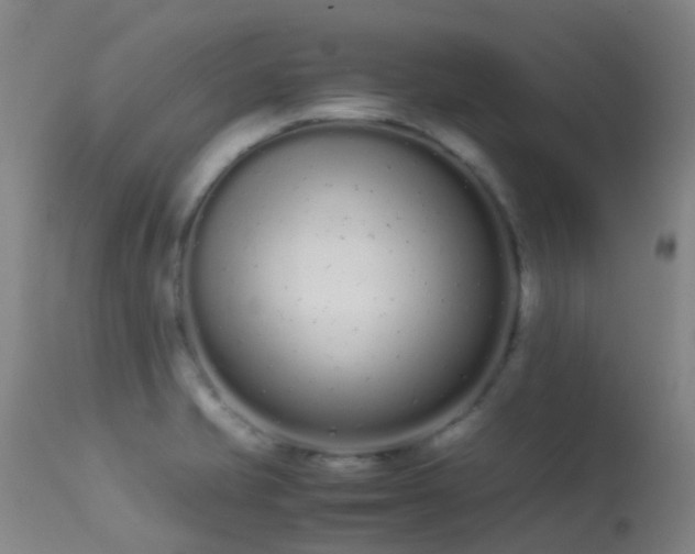 X0000113261421200909171639