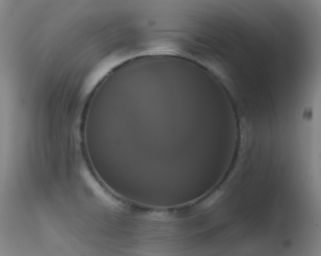 X0000113261422200909171639