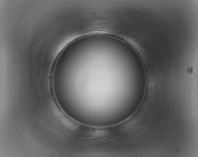 X0000113261423200909171639