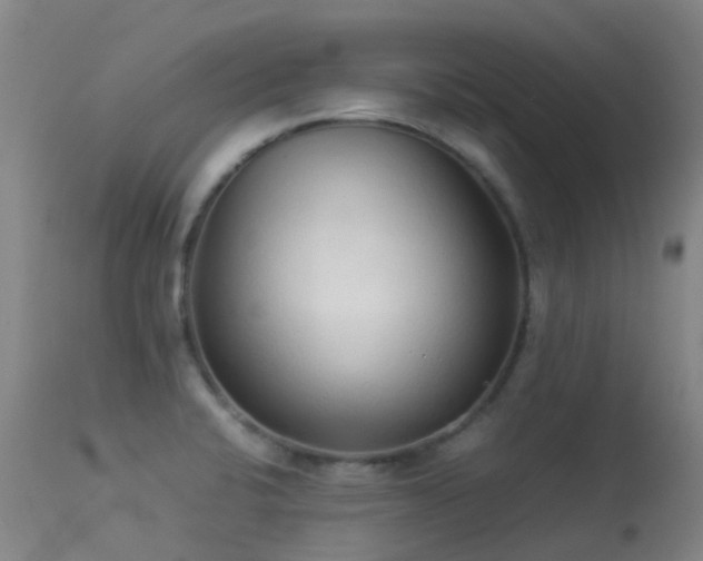 X0000113261424200909171639