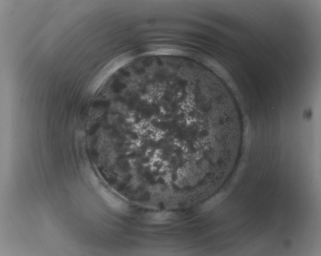 X0000113261425200909171639