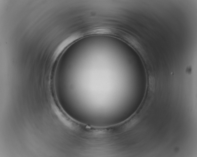 X0000113261426200909171639