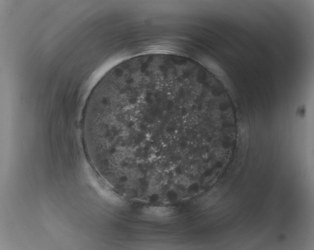 X0000113261427200909171639