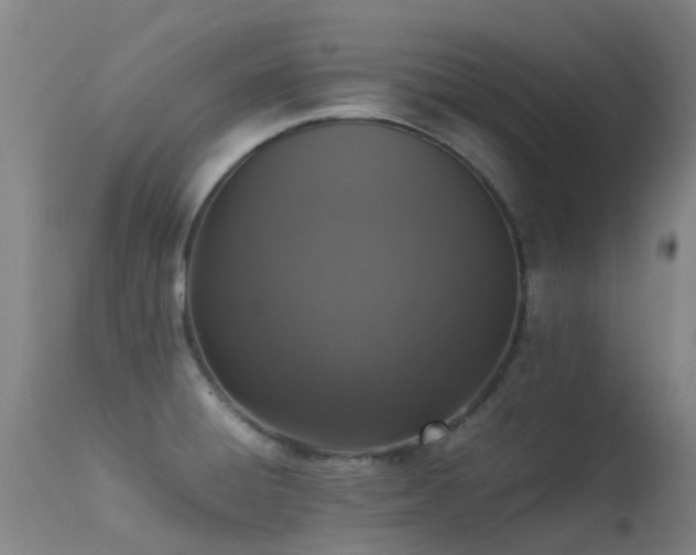 X0000113261428200909171639