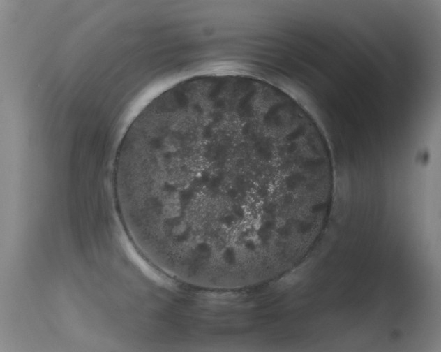 X0000113261429200909171639