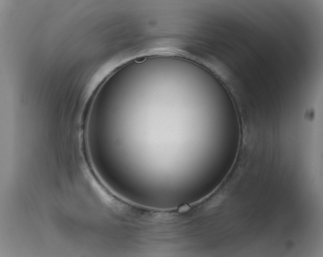 X0000113261430200909171639