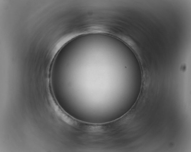 X0000113261431200909171639