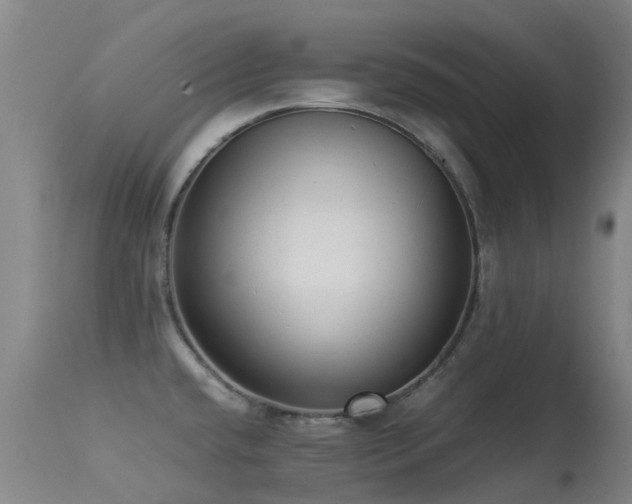 X0000113261432200909171639