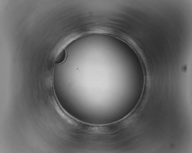 X0000113261433200909171639