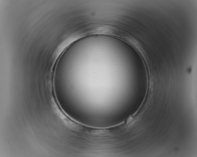 X0000113261434200909171639