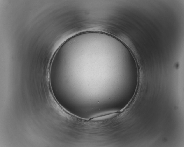 X0000113261436200909171639