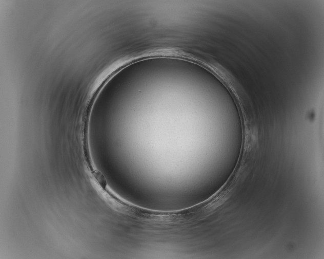 X0000113261438200909171639